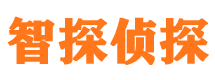 洛川市婚外情取证